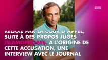 Eric Zemmour flingue la manifestation contre les violences sexuelles