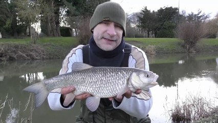 Winter Chub Fishing - Warwickshire Avon River Campaign - 2/2/18 (Video 62)