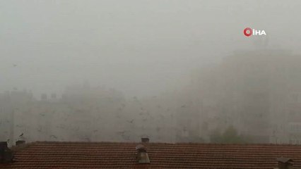 Şanlıurfa'da Sis Etkili Olmaya Devam Ediyor