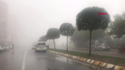 Şanlıurfa'da Sis Hayatı Olumsuz Etkiledi