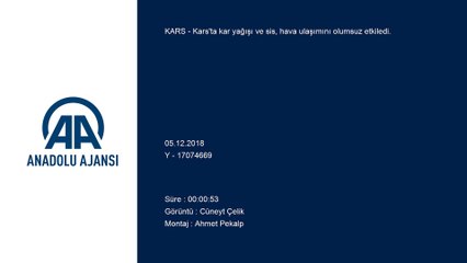 Kars'ta hava ulaşımına kar ve sis engeli
