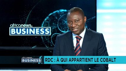 who owns cobalt in DRC?