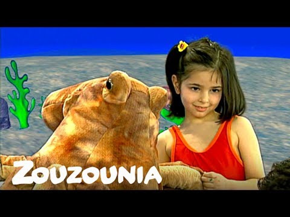Ζουζούνια | Το ζωηρό χταπόδι