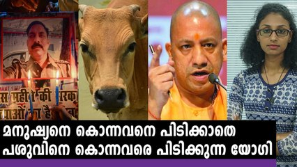 പശുവിനെ കൊന്നവരെ പിടിക്കുന്ന യോഗി | News Of The Day | Oneindia Malayalam