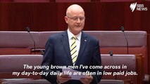 Australian Senator Slammed Over 'Young Brown Men' Speech