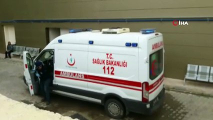 Deniz patlıcanı avcılığı yaparken vurgun yiyerek öldü