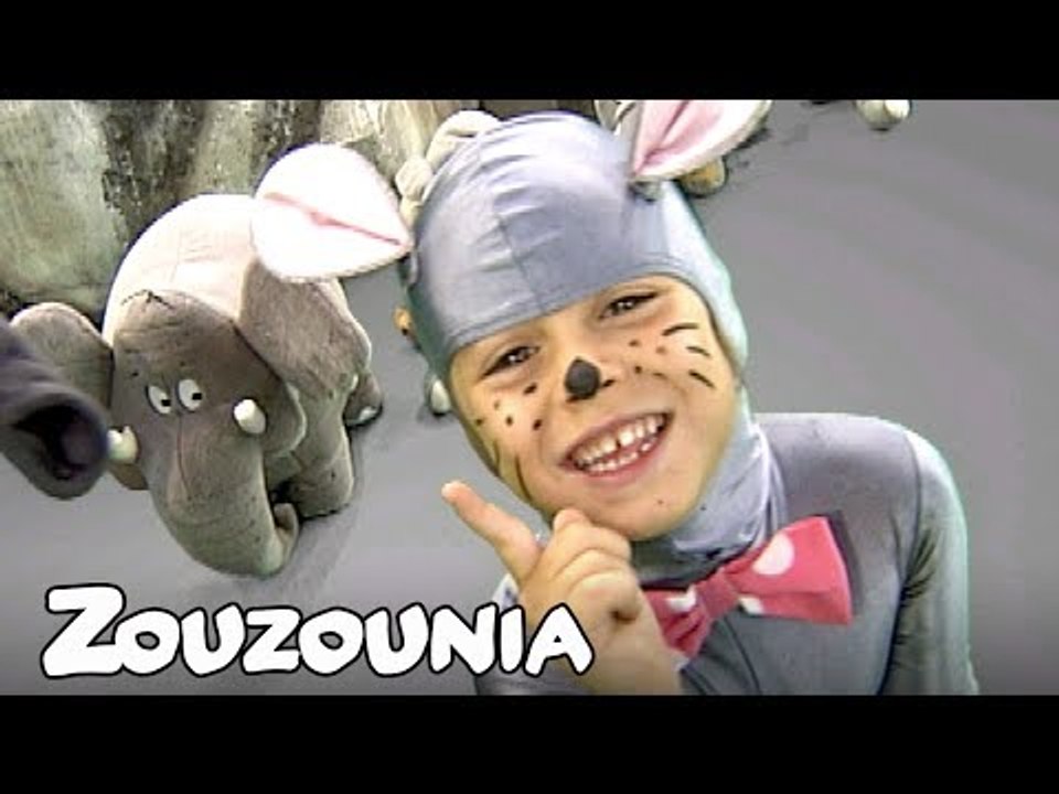 Ζουζούνια | Γκρι