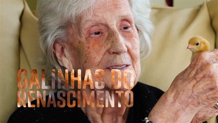 Galinhas que acabam com a solidão