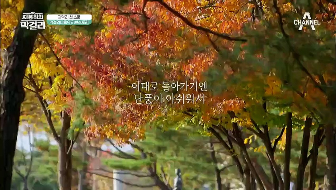 가을 소풍 간 지막리 식구들! 취한 김에 풀어보는 손태영♥권상우의 러브스토리~!