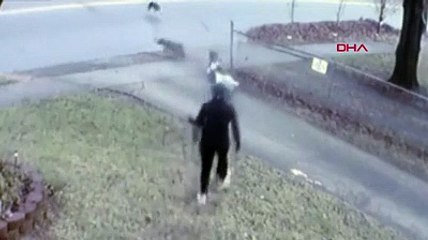 60 yaşındaki kadın Pitbullların saldırısına uğradı