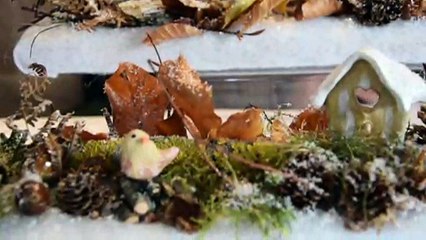 Marché de Noël de Thann : les déco naturelles d'Agnès