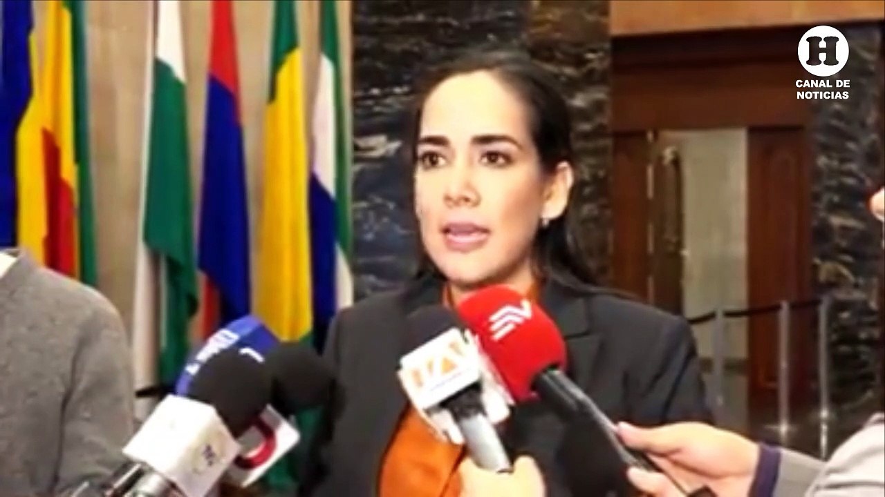 Viviana Bonilla señala que la renuncia de la VP María Alejandra Vicuña debe llegar oficialmente a la Asamblea Nacional