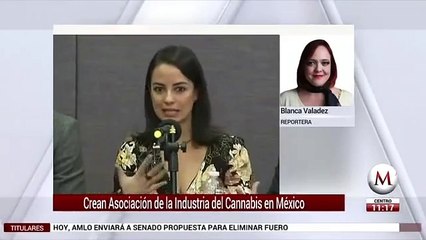 Crean asociacion de industria del cannabis en Mexico