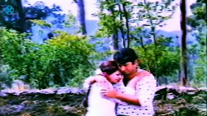 JANAY KIA HONAY LAGA (HD)PAKISTAN SONG