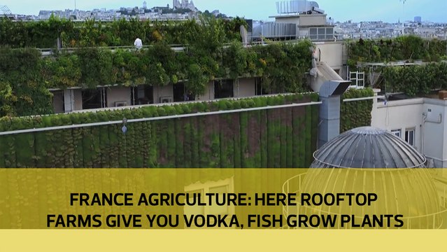 France Agriculture: Here rooftop farms give you vodka, fish grow plants