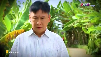 Ngậm Ngùi Tập 10 -- Phim Việt Nam THVL1 -- Phim Ngam Ngui Tap 10 -- Ngam Ngui Tap 11