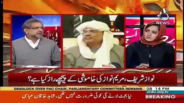 Aaj Hukomat Ka Koi Wazir Kaam Karta Nazar Nahi Ata-Shahid Khaqan Abbasi