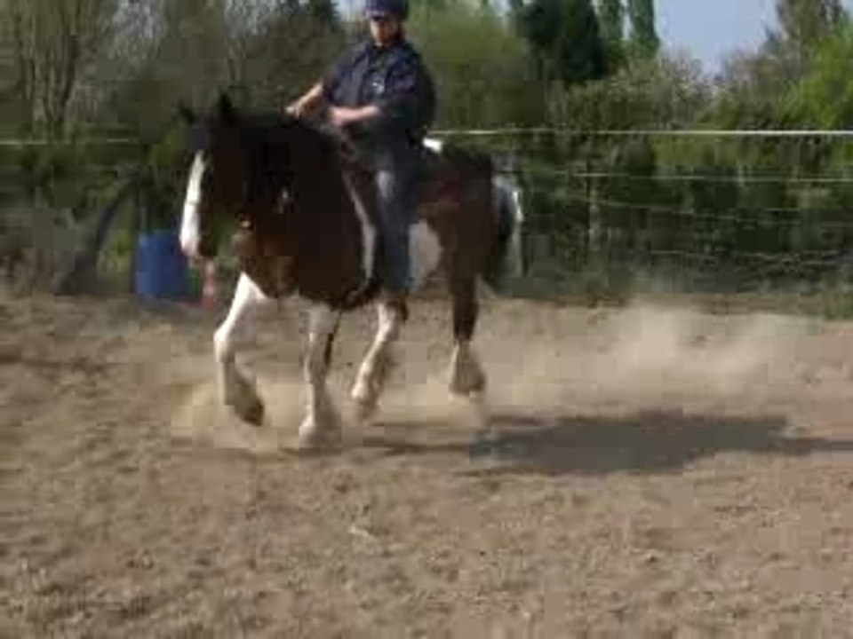 irish , quand un lourd joue au cow-boy