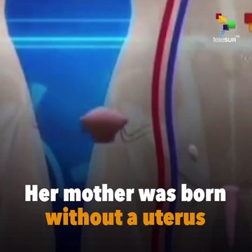 First Baby Born from Transplanted Womb in Brazil