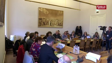 « Gilets jaunes » au Sénat : « Macron et son monde on n'en veut plus »