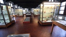 Dernière visite du musée archéologique de Namur