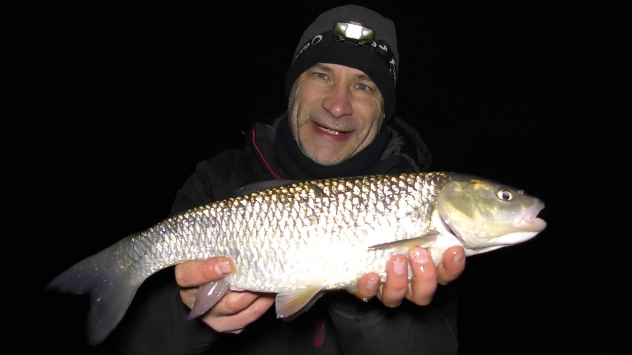 Chub Fishing - Roving, A Mobile Approach - Warwickshire Avon River Campaign - 23/2/18 (Video 65)