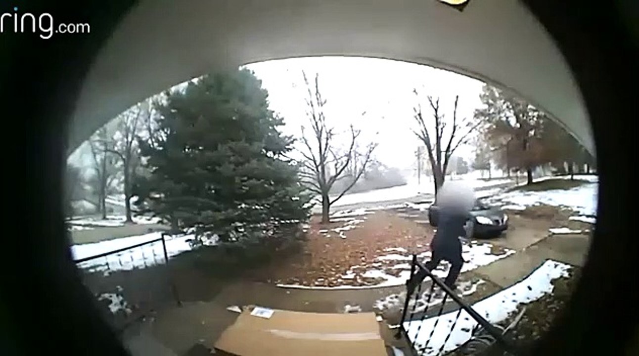 Voleur de colis vs Alarme... Peur de sa vie