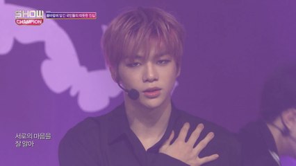 Show Champion EP.294 Wanna One - Spring Breeze