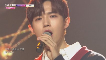 Show Champion EP.294 Wanna One - Hide and Seek
