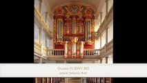 Johann Sebastian Bach Clavierübung III #26of27 BWV 805 Duetto IV