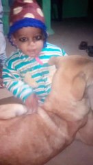 Boy plays with his dog!