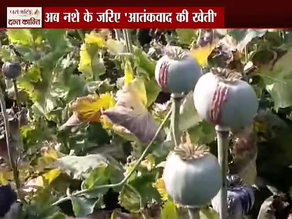 नारको टेररिज्म ' में जुटा पाकिस्तान !