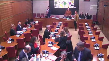 Commission des affaires culturelles : M. Maxime Saada, pdt du directoire du groupe Canal+ - Mercredi 5 décembre 2018