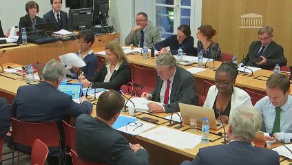 Commission spéciale Brexit : Projet de loi habilitant le Gouvernement à prendre par ordonnances les mesures de préparation au retrait du Royaume-Uni de l'Union européenne   - Mercredi 5 décembre 2018