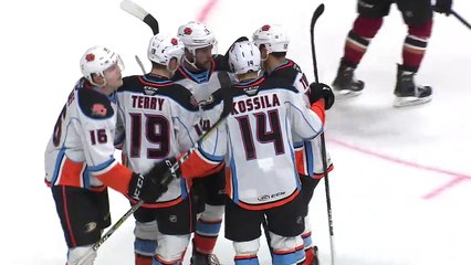 Final: San Diego Gulls 2, Tucson Roadrunners 5