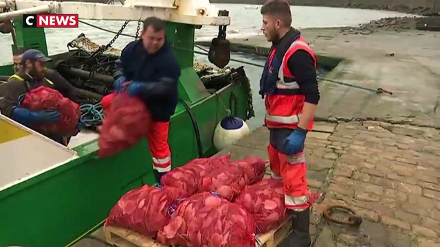 Le trafic portuaire à Saint-Malo gêné par le mouvement des gilets jaunes