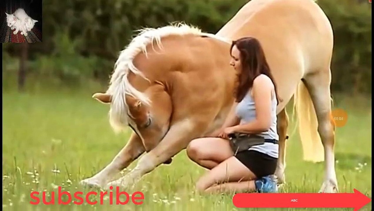 how to make hot horse