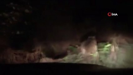 Ayıları önce kovaladı, sonra özür dileyerek bal verdi