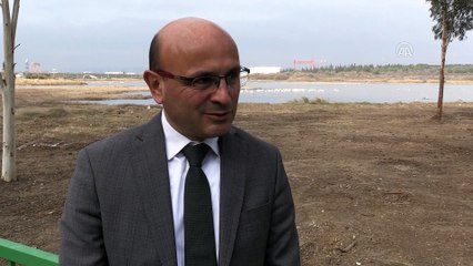 'Kuş oteli' rekor sayıda flamingo ağırlıyor - YALOVA