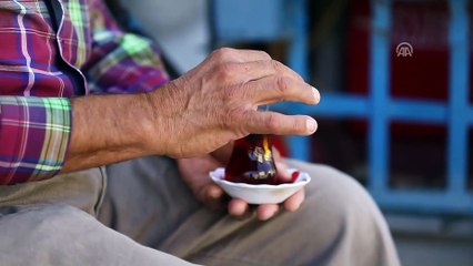 Mevlana şehri Şebiarus'a hazır - KONYA
