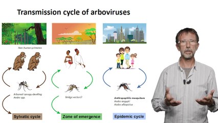 FUN-MOOC : Medical Entomology session 2