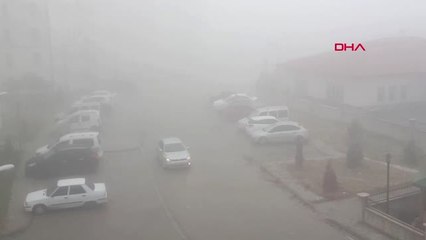 Ardahan'da Ağaçlar Kırağı Tuttu