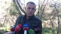 Fier, vjedhje masive e boçeve të pishave - Top Channel Albania - News - Lajme