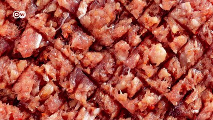 Fleisch aus der Petrischale | Made in Germany