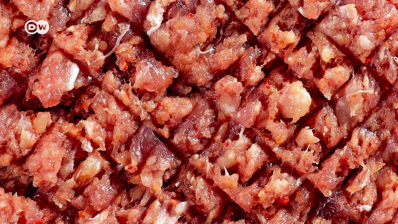 Fleisch aus der Petrischale | Made in Germany