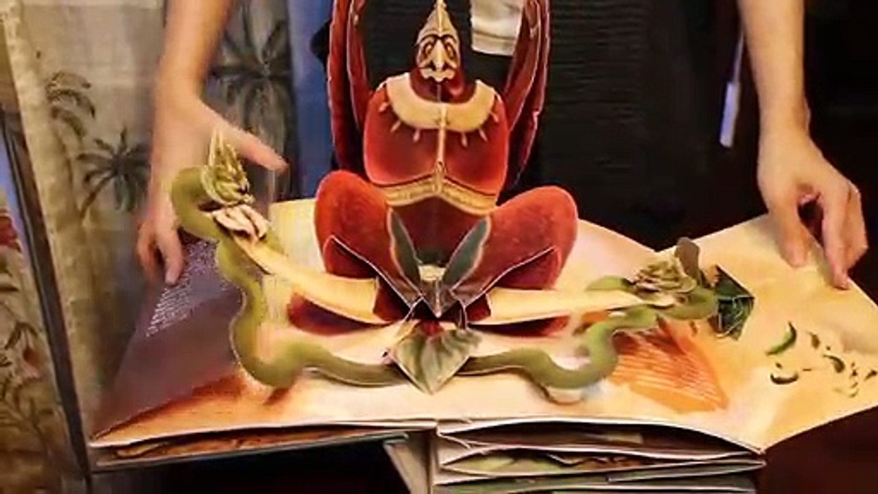 Pop Up Book