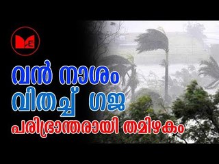 Gajah cyclon | തമിഴ്നാട് തീരത്ത്   വൻ നാശം വിതച്ചുകൊണ്ട്  ഗജ ചുഴലിക്കാറ്റ്