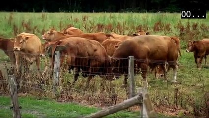 Quand "L'Amour est dans le pré" choque les téléspectateurs