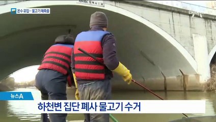 백석역 온수관 뜨거운 물에…인근 물고기 떼죽음
