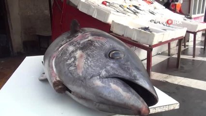 Soğuk ve Yağışlı Hava Balık Satışlarını Artırdı